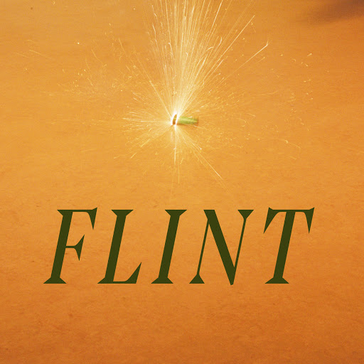 Flint Studio logo