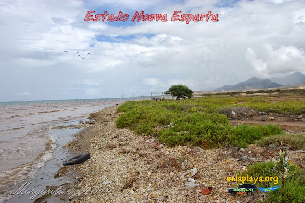 Playa Barrancas NE114, Estado Nueva Esparta, Macanao