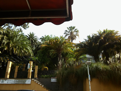 Restaurante Bentayga