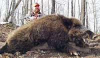 Κάπρος της Αμερικής,κυνηγός σκοτώνει Κάπρο, Κρόνια Γένη, μεταλλαγμένοι, Νεφελίμ,Boar of America Boar hunter kills, saturnine Genera, mutants, Nephilim.
