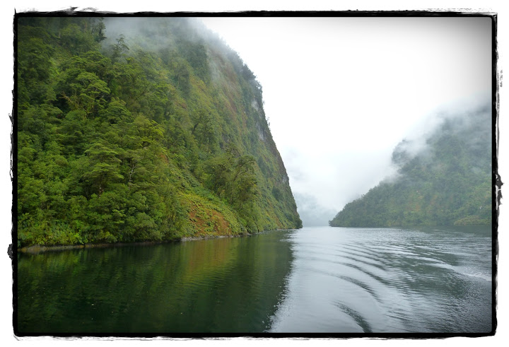 Fiordland - Te Wai Pounamu, verde y azul (Nueva Zelanda isla Sur) (7)