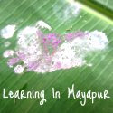 LearninInMayapur