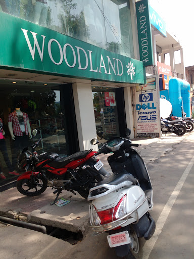 Woodland Store, Shimla-Kangra Rd, New Kangra, Kangra, Himachal Pradesh 176001, India, Boot_Shop, state HP