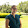 Cameron Hunt McNabb Cameron Hunt McNabb's profile photo