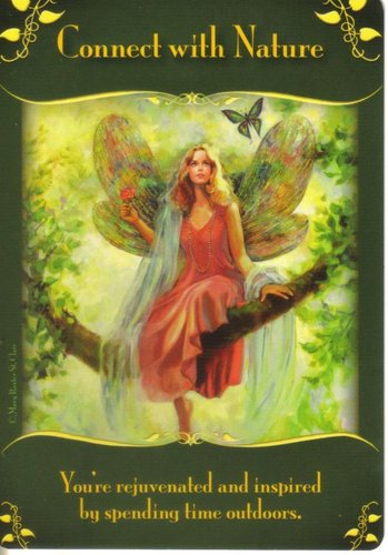Оракулы Дорин Вирче. Магические послания фей. (Magical Messages From The Fairies Oracle Doreen Virtue). Галерея Card11