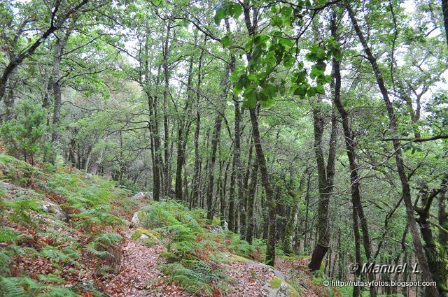 Canuto del Montero