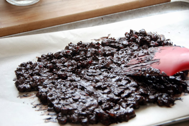 Dark Chocolate Pomegranate Bark Recipe