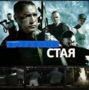 Позывной стая фильм 2013 смотреть онлайн в хорошем качестве Позывной стая фильм 2013 смотреть онлайн в хорошем качестве