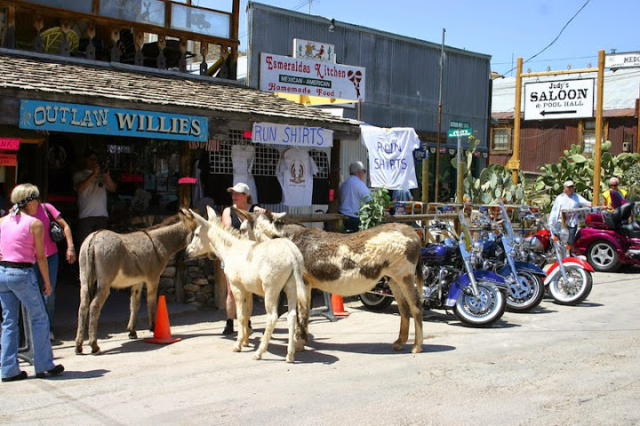 El pueblo de los burros, Oatman, Arizona El pueblo de los burros, Oatman, Arizona