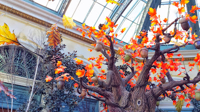 Details inside the Bellagio Conservatory & Botanical Gardens. Autumn Harvest 2014 theme.