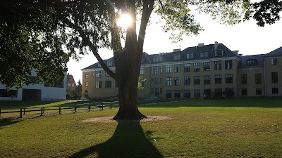 school