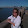 Debbie Pascoe Debbie Pascoe's profile photo