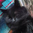 Tracy Sparrow avatar image