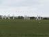 Cricket game on Southwold common