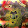April Nacht April Nacht's profile photo