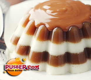 Resep Puding Coklat Berlapis Putih Resep Puding Coklat Berlapis Putih