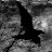 IIvan Troncoso avatar image