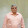 Rajeev Sood Rajeev Sood's profile photo