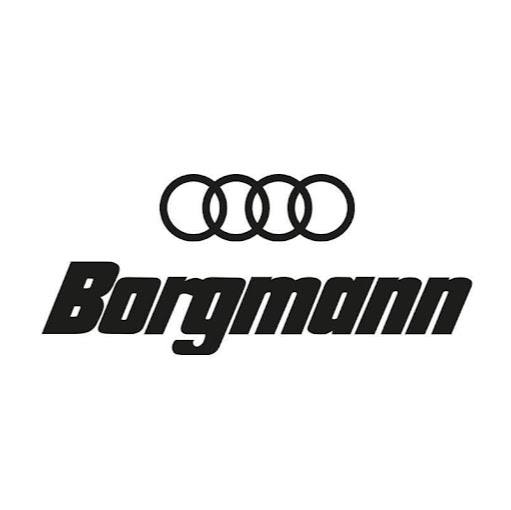 Audi Borgmann im Schirrhof logo