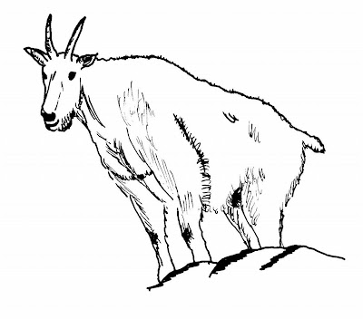 Kids Coloring Pages Animal Goat Prntable to Print | Printable Coloring ...