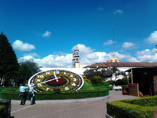 Reloj Floral, Jardín Municipal Bicentenario, Av Hidalgo, Tlatilco, 54770 Teoloyucan, Méx., México, Atracción turística | EDOMEX