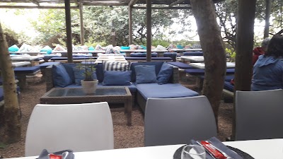 Photos of Jakes in the Village