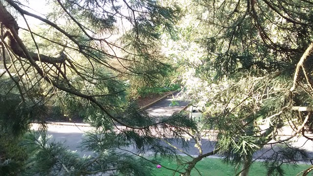 Walton Hall & Gardens