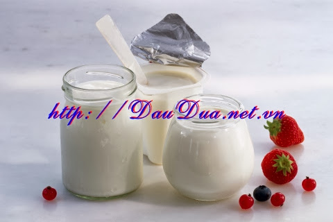 Dầu dừa và sữa chua dùng đắp mặt nạ Dầu dừa và sữa chua dùng đắp mặt nạ
