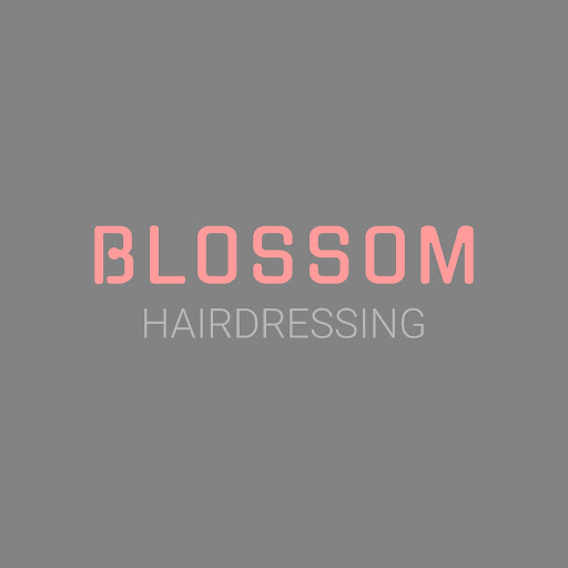 Blossom Hairdressing logo