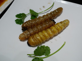 termite larvae (炸木头虫) with cilantro