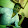 Jayesh Dholia Jayesh Dholia's profile photo
