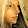 Quoc Tran Quoc Tran's profile photo