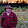 Scott Crouse Scott Crouse's profile photo