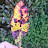 cristiano costantini avatar image