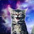 Laurie B. avatar image
