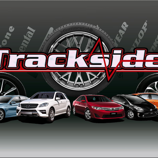 Trackside logo