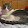 Anna Giacomazzi Anna Giacomazzi's profile photo