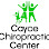 Cayce Chiropractic Center - Pet Food Store in Cayce South Carolina