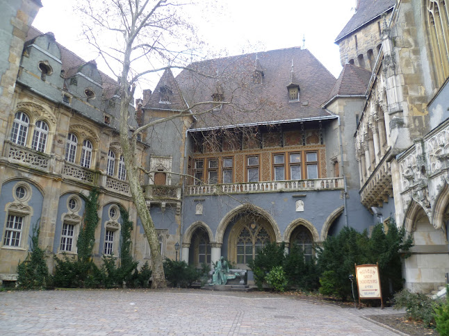 Día 5:Városliget, Plaza de los Héroes, Museo de Bellas Artes, Baños de Széchenyi - Invierno en Budapest (3)