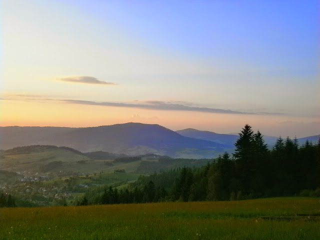 https://lh4.googleusercontent.com/-2ISEd7RglIU/U5wmwllxe0I/AAAAAAAAEjk/drofIm47w0o/s640/P6060047.JPG