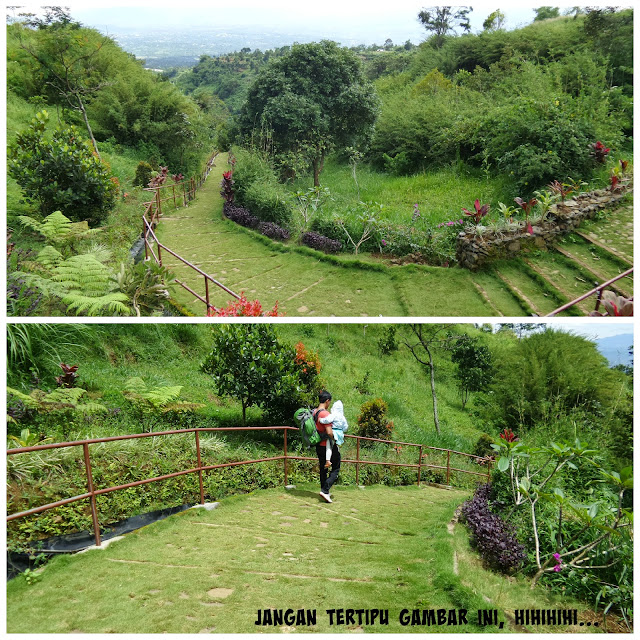 100+ Gambar Air Terjun Ada Pelangi Paling Bagus 100+ Gambar Air Terjun Ada Pelangi Paling Bagus