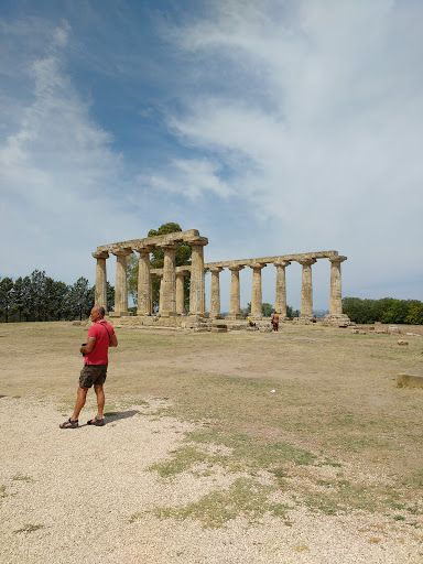 Tavole Palatine