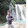 Rhaldz Aying Rhaldz Aying's profile photo