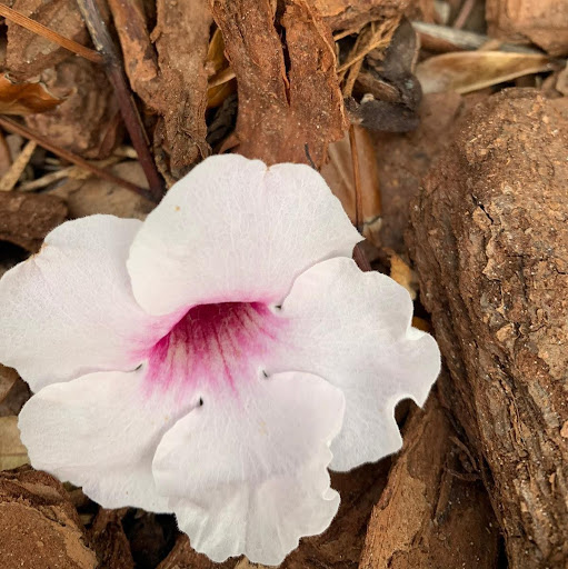 @*Model.facility.Name - Gogetit*@