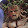John Ross John Ross's profile photo