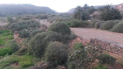 Photos of Plage Imin Turga