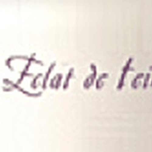 Eclat De Teint logo