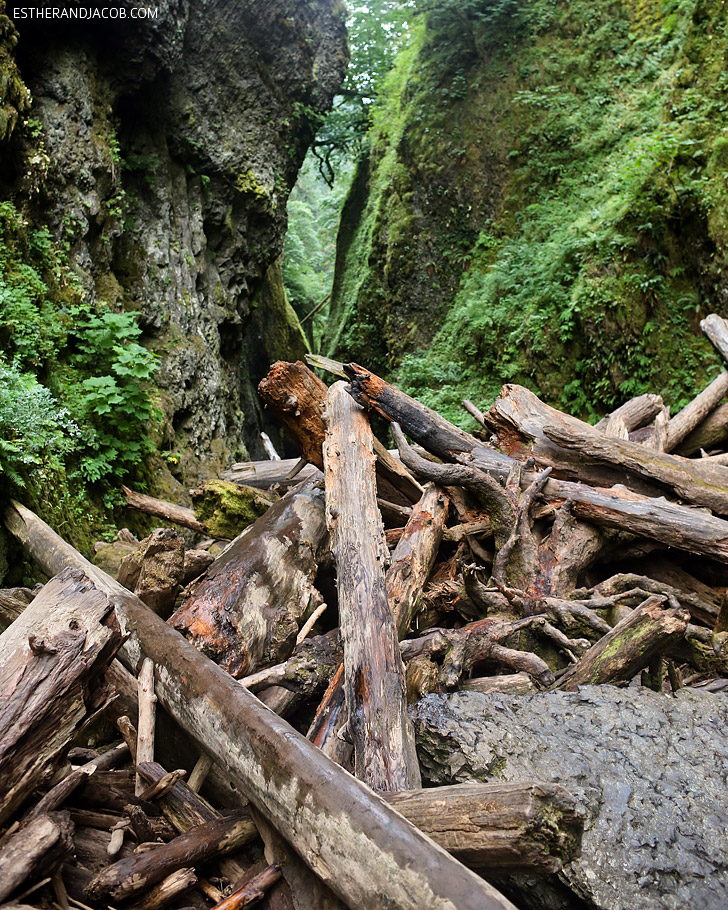 The Oneonta Falls Hike | Oregon Waterfall Hikes.
