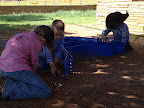 Branding calves in there pens too!