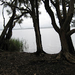 View of Myall Lakes